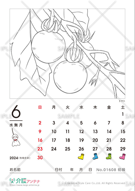 2024年6月の塗り絵カレンダー「トマト（植物）」 - No.01608