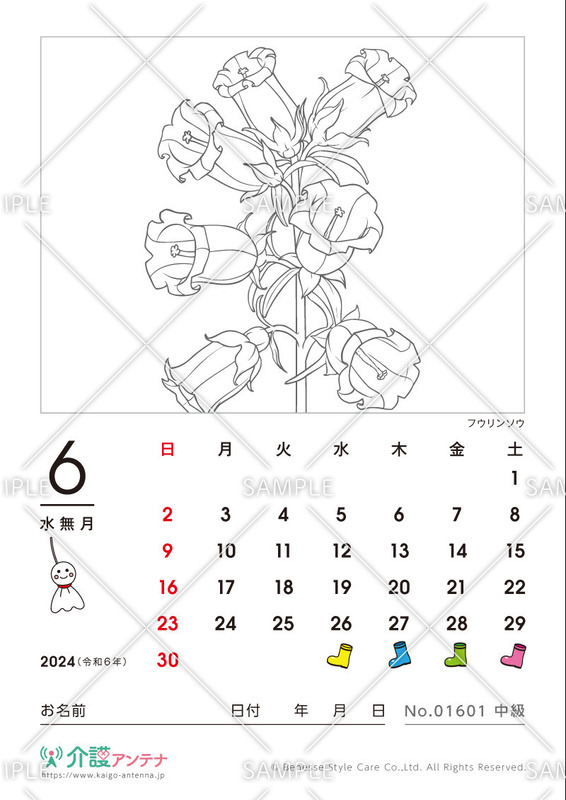 2024年6月の塗り絵カレンダー「フウリンソウ（花・植物）」 - No.01601