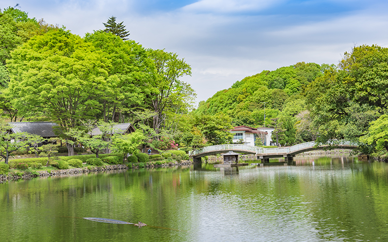 「日本の歴史公園100選」に選ばれている薬師池公園