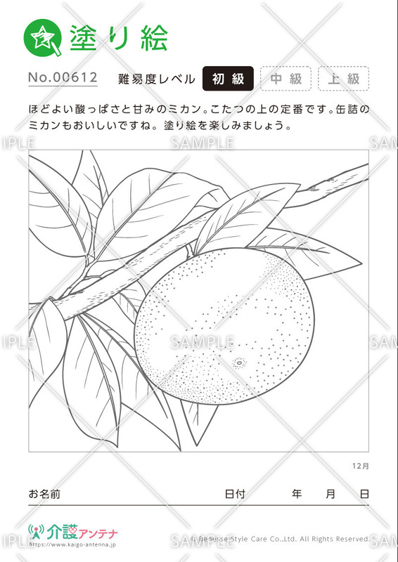 塗り絵「12月の植物 ミカン」- No.00612