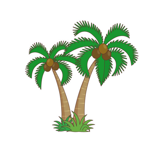 椰子の木（お花/その他一般・装飾）のイラスト