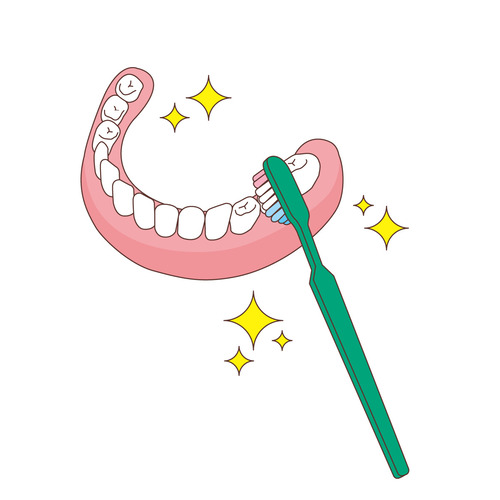 総入れ歯と歯ブラシ（入れ歯/福祉用具）のイラスト
