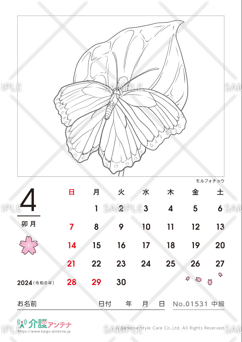 2024年4月の塗り絵カレンダー「モルフォチョウ（動物））」 - No.01531(高齢者向けカレンダー作りの介護レク素材)