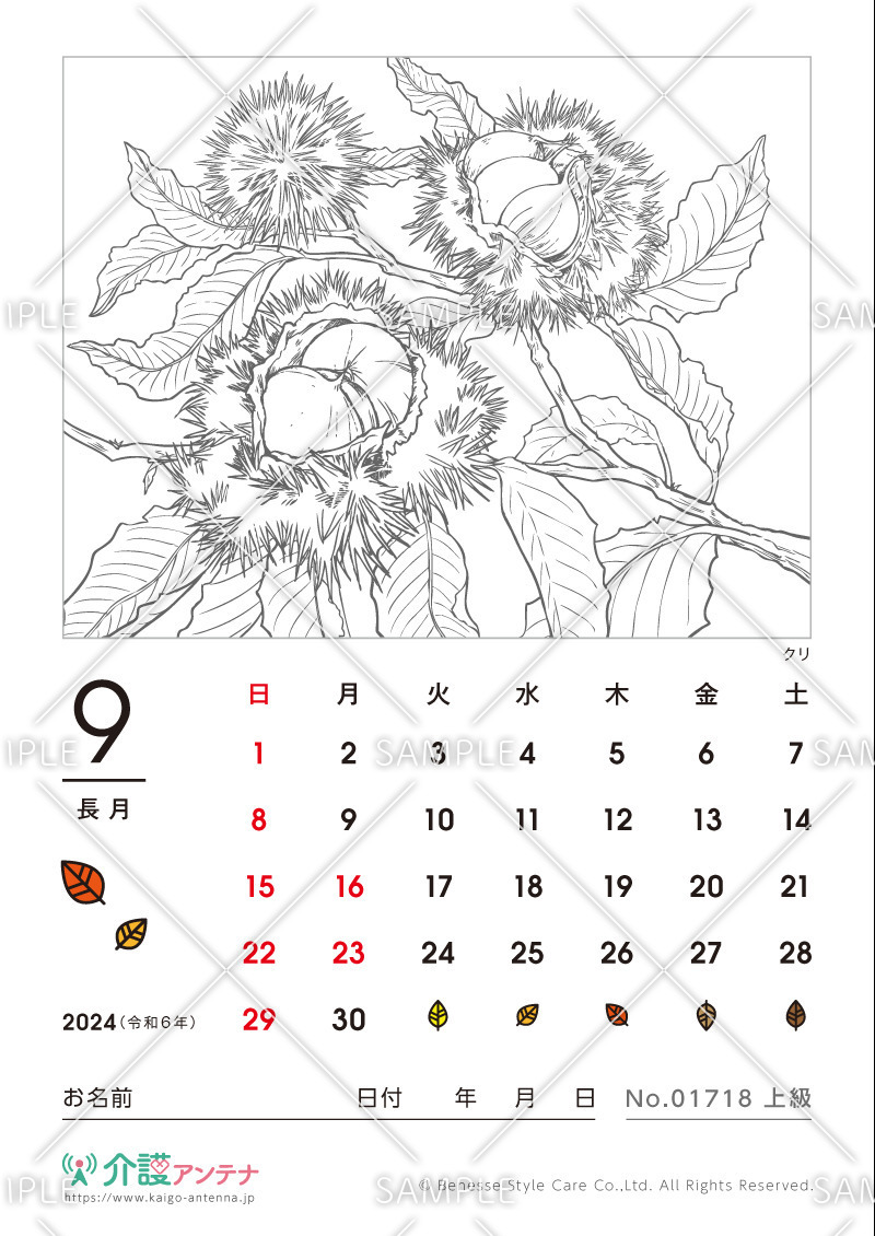 2024年9月の塗り絵カレンダー「クリ（植物）」 - No.01718(高齢者向けカレンダー作りの介護レク素材)