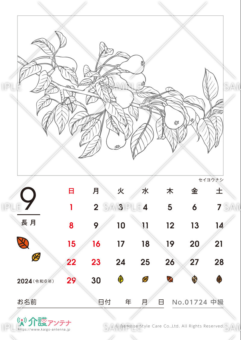2024年9月の塗り絵カレンダー「セイヨウナシ（植物）」 - No.01724(高齢者向けカレンダー作りの介護レク素材)
