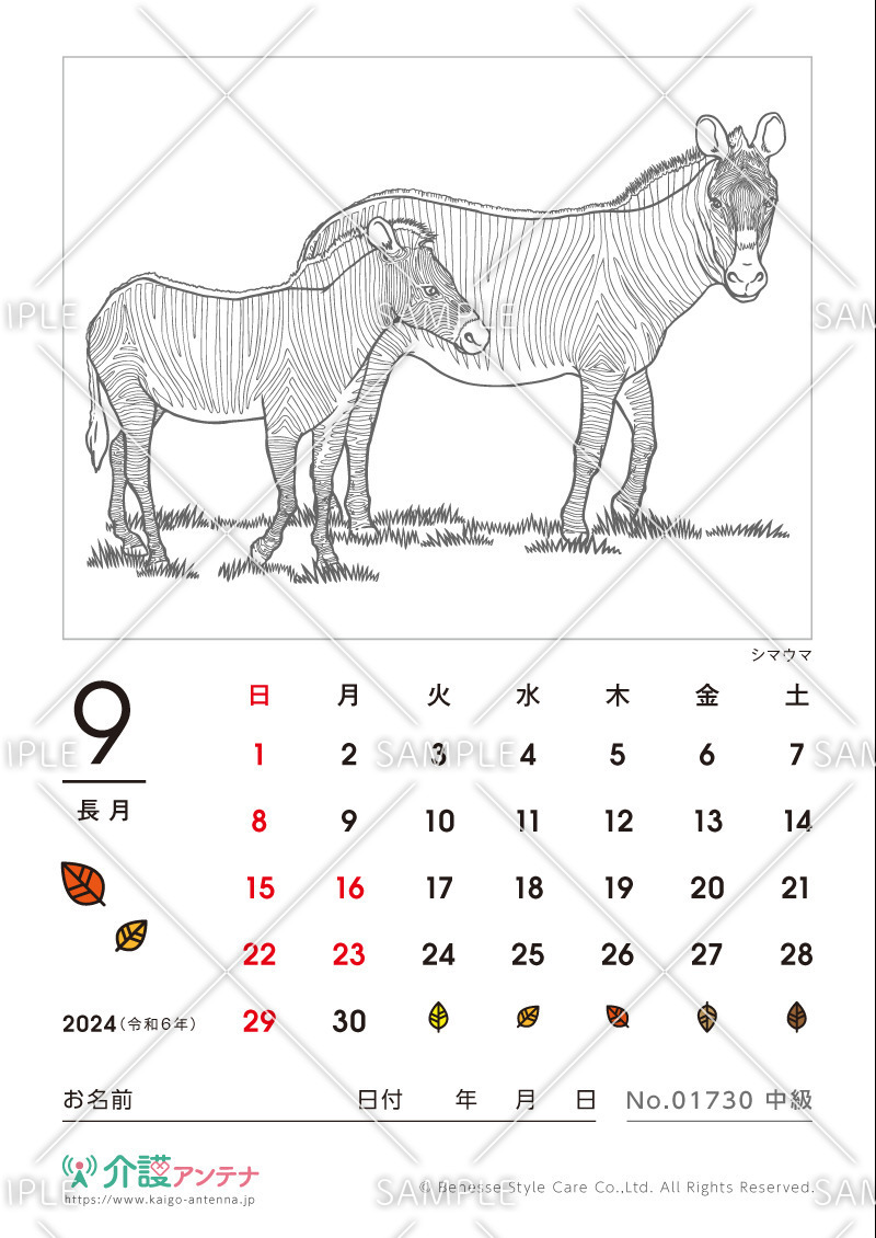 2024年9月の塗り絵カレンダー「シマウマ（動物）」 - No.01730(高齢者向けカレンダー作りの介護レク素材)