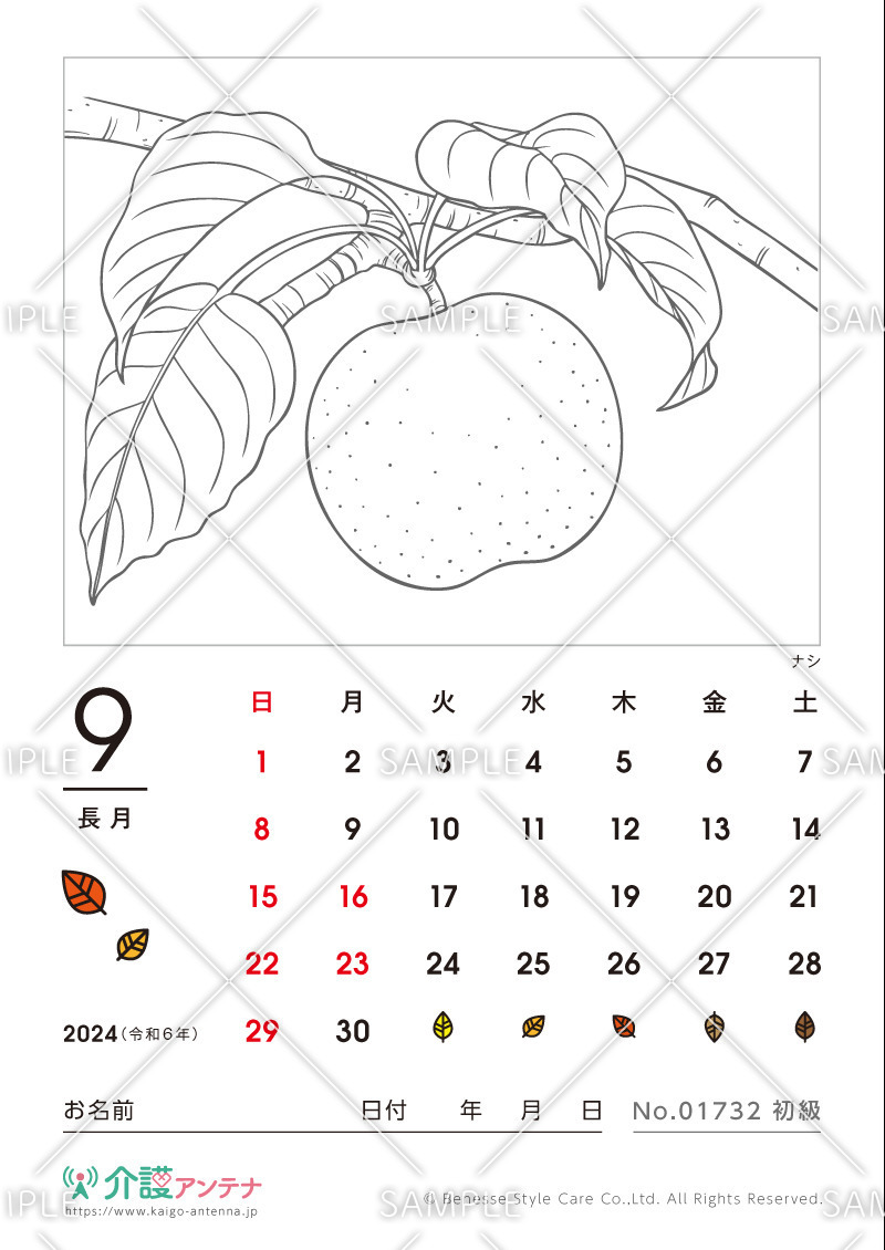 2024年9月の塗り絵カレンダー「ナシ（植物）」 - No.01732(高齢者向けカレンダー作りの介護レク素材)