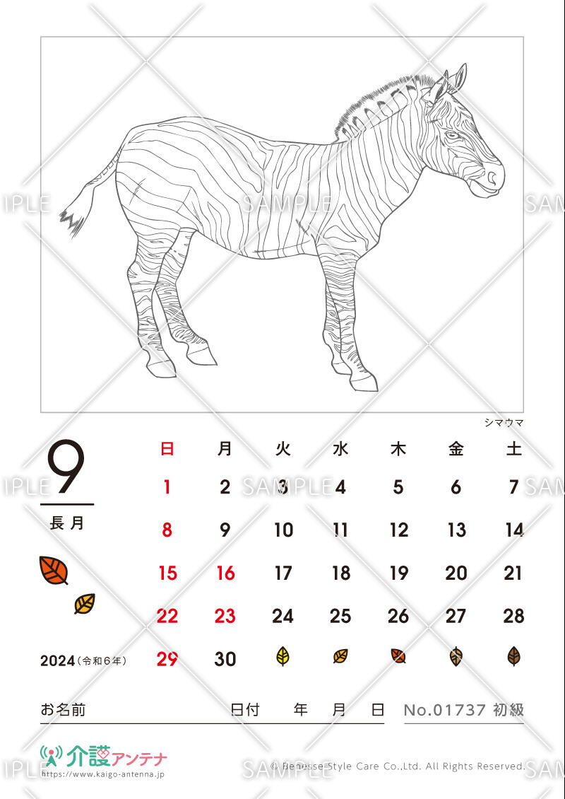 2024年9月の塗り絵カレンダー「シマウマ（動物）」 - No.01737(高齢者向けカレンダー作りの介護レク素材)