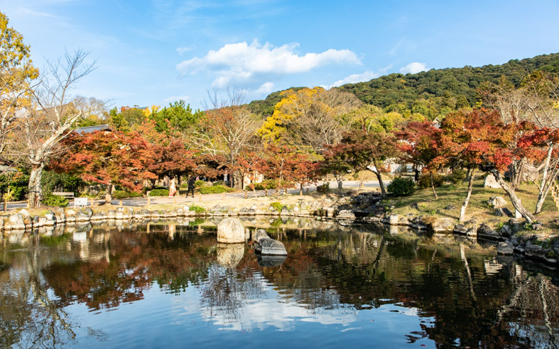 ひょうたん池の周囲は公園の中でも人気の高いスポットで、春の桜や秋の紅葉シーズンには多くの人でにぎわう。