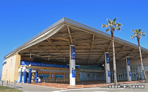 新江ノ島水族館				のスポット施設詳細