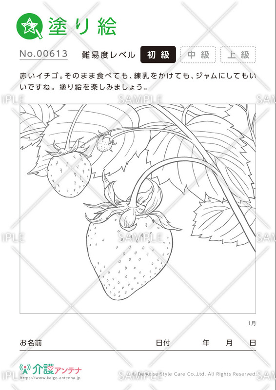 塗り絵「1月の植物 イチゴ」- No.00613