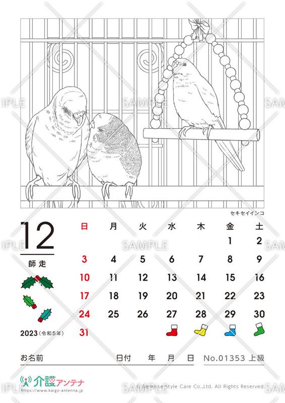 2023年12月の塗り絵カレンダー「セキセイインコ（鳥・動物）」 - No.01353