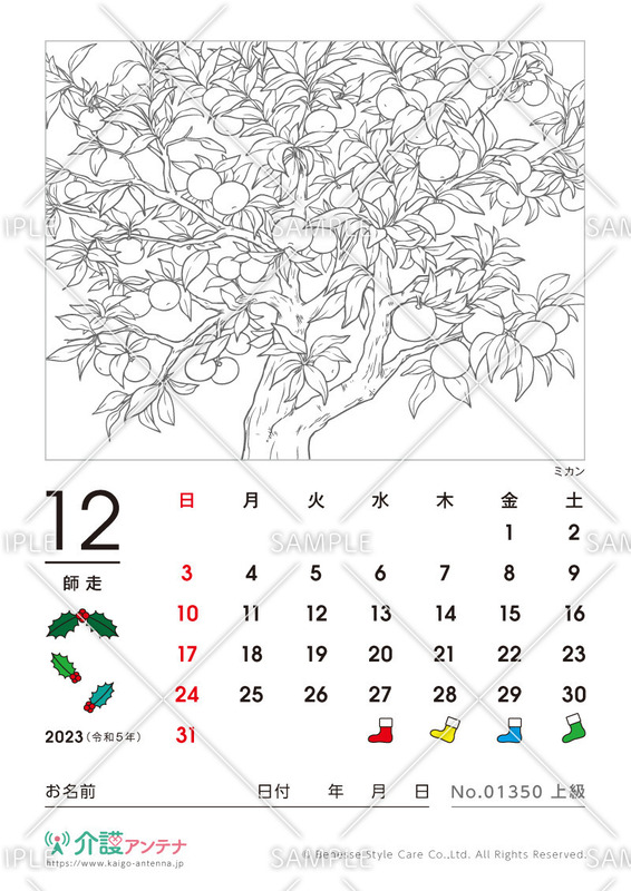  2023年12月の塗り絵カレンダー「ミカン（植物）」 - No.01350c