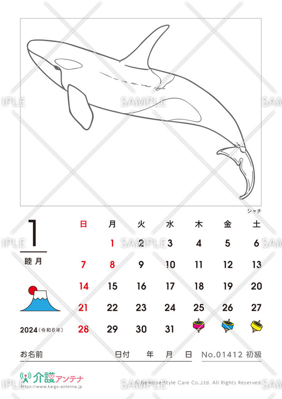2024年1月の塗り絵カレンダー「シャチ（動物）」