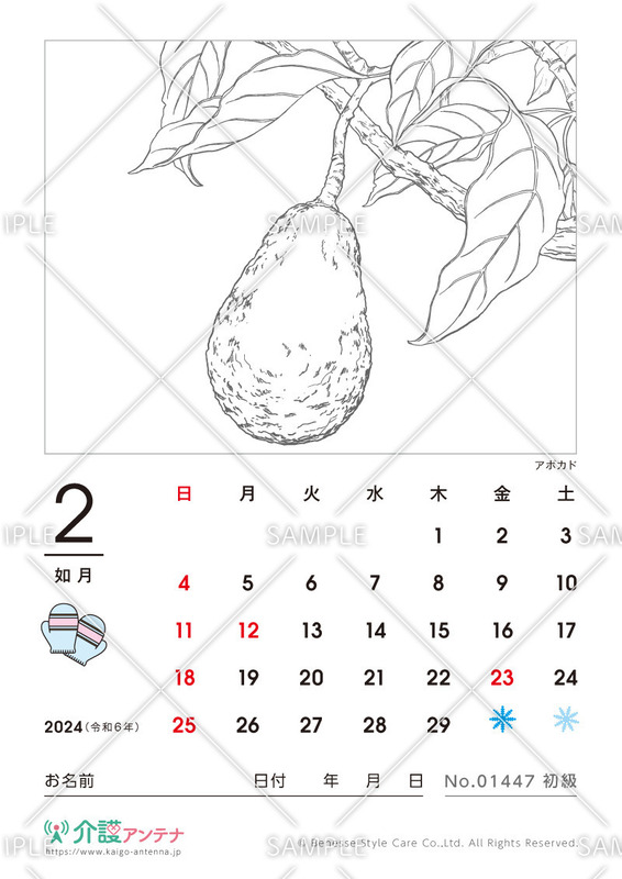 2024年2月の塗り絵カレンダー「アボカド（植物）」