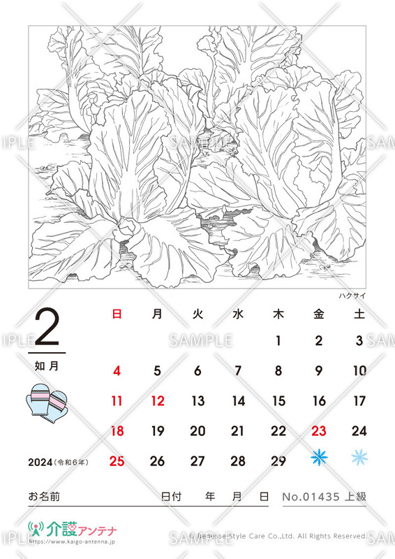 2024年2月の塗り絵カレンダー「ハクサイ（植物）」