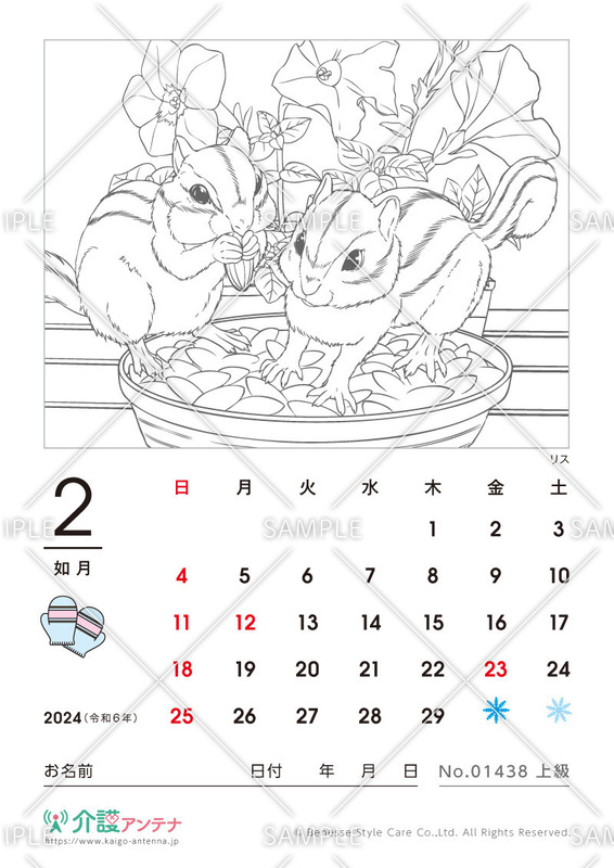 2024年2月の塗り絵カレンダー「リス（動物）」