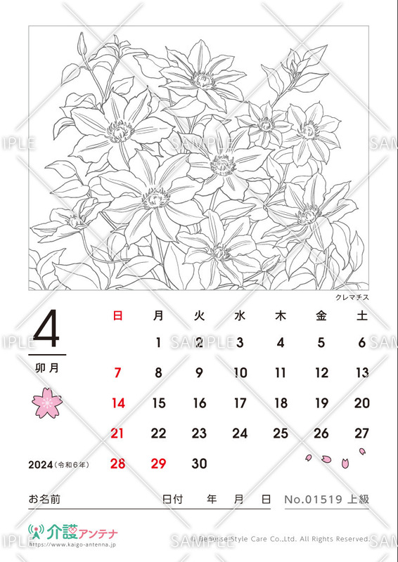 2024年4月の塗り絵カレンダー「クレマチス（花・植物）」 - No.01519