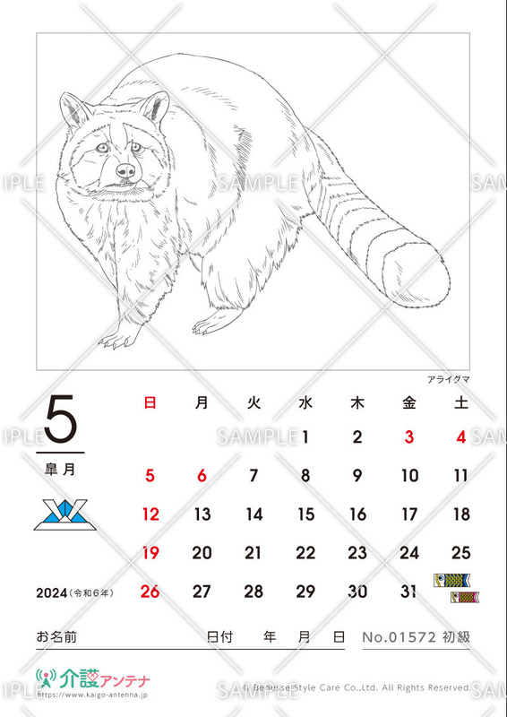 2024年5月の塗り絵カレンダー「アライグマ（動物）」 - No.01572