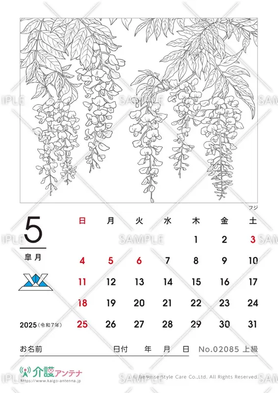  2025年5月の塗り絵カレンダー「藤（花・植物）」 - No.02085