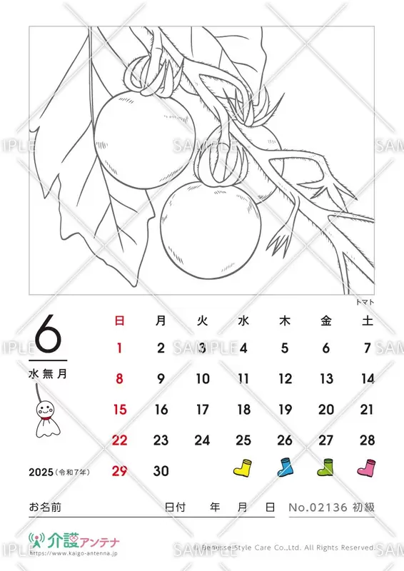 2025年6月の塗り絵カレンダー「トマト（植物）」 - No.02136