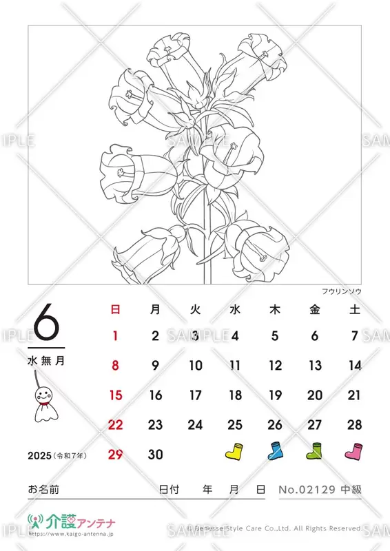 2025年6月の塗り絵カレンダー「フウリンソウ（花・植物）」 - No.02129