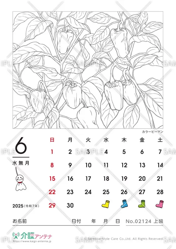 2025年6月の塗り絵カレンダー「カラーピーマン（植物）」 - No.02124