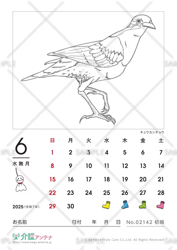 2025年6月の塗り絵カレンダー「キュウカンチョウ（鳥・動物）」 - No.02142
