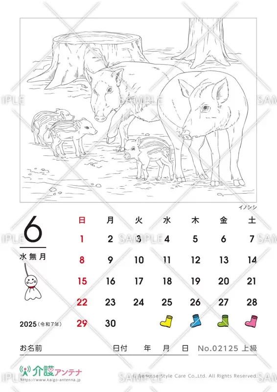 2025年6月の塗り絵カレンダー「イノシシ（動物）」 - No.02125