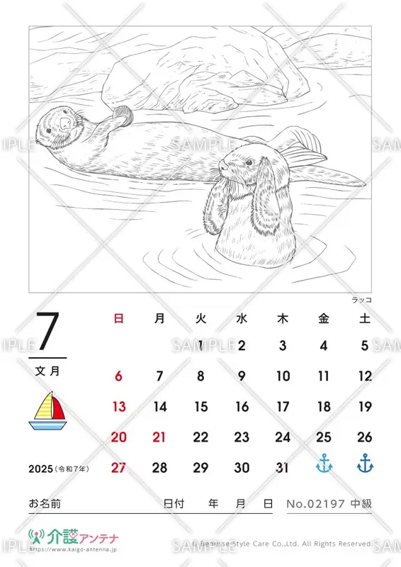 2025年7月の塗り絵カレンダー「ラッコ（動物・海の生物）」 - No.02197