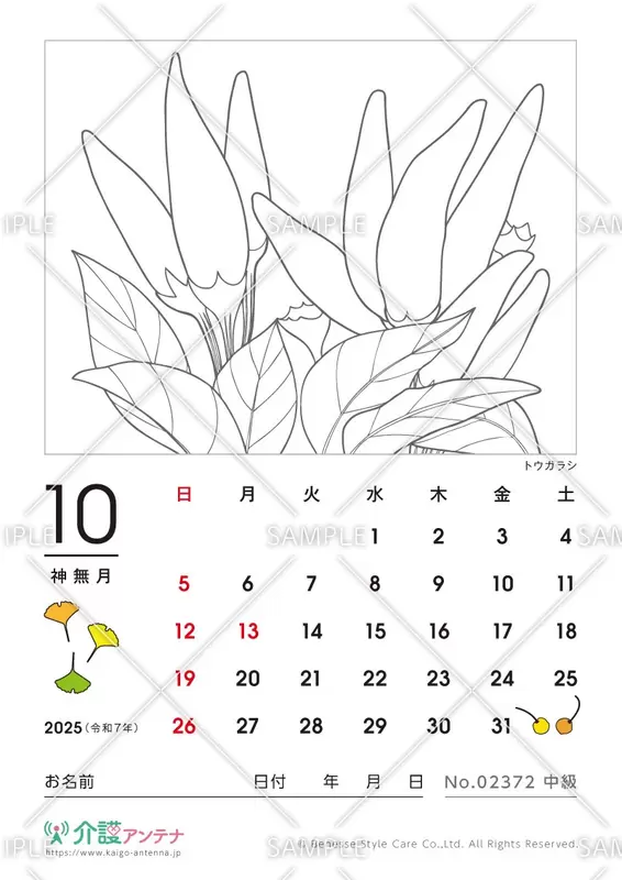 塗り絵「トウガラシ（植物）」
