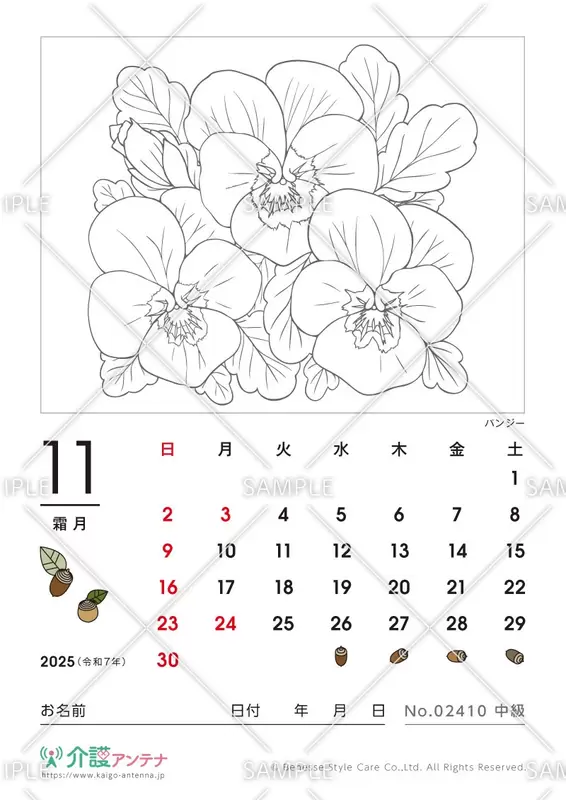 2025年11月の塗り絵カレンダー「パンジー（花・植物）」 - No.02410