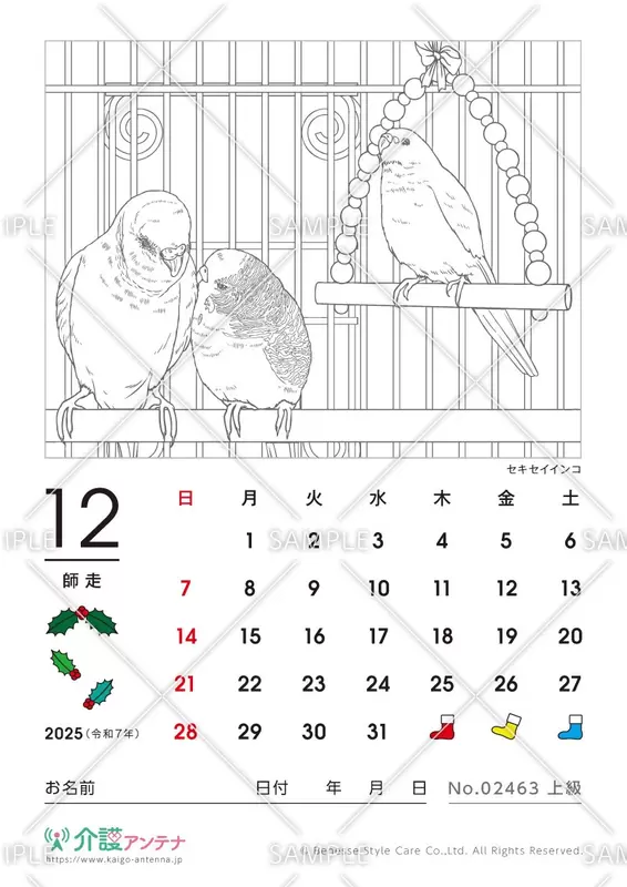 2025年12月の塗り絵カレンダー「セキセイインコ（鳥・動物）」 - No.02463