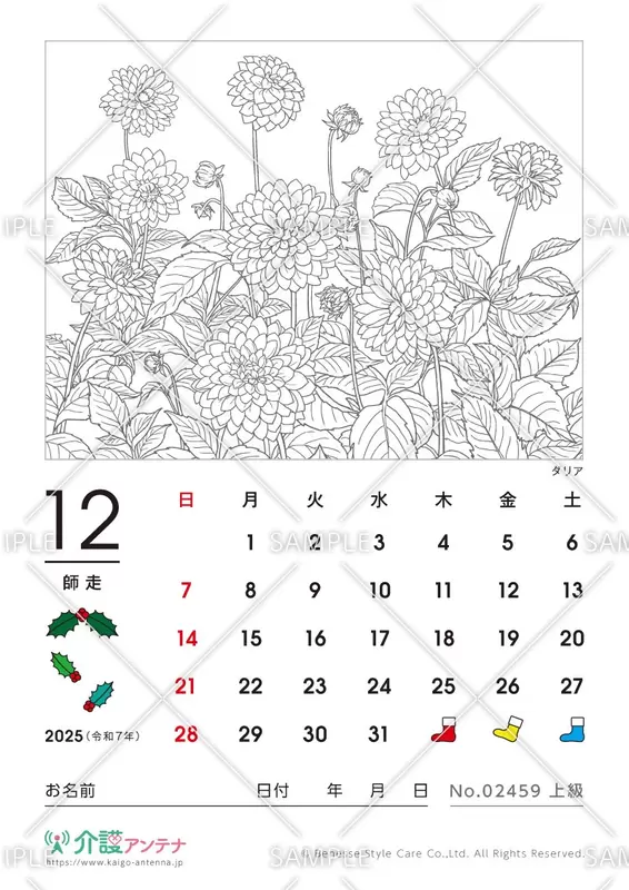 2025年12月の塗り絵カレンダー「ダリア（花・植物）」 - No.02459
