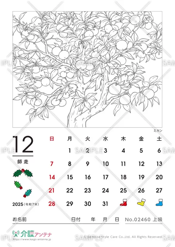 2025年12月の塗り絵カレンダー「ミカン（植物）」 - No.02460