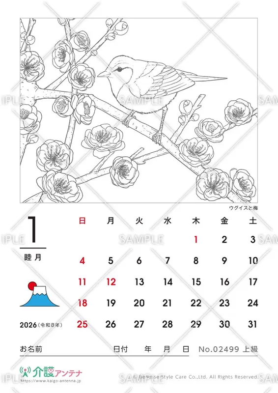 2026年1月の塗り絵カレンダー「ウグイスと梅（鳥・動物）」 - No.02499