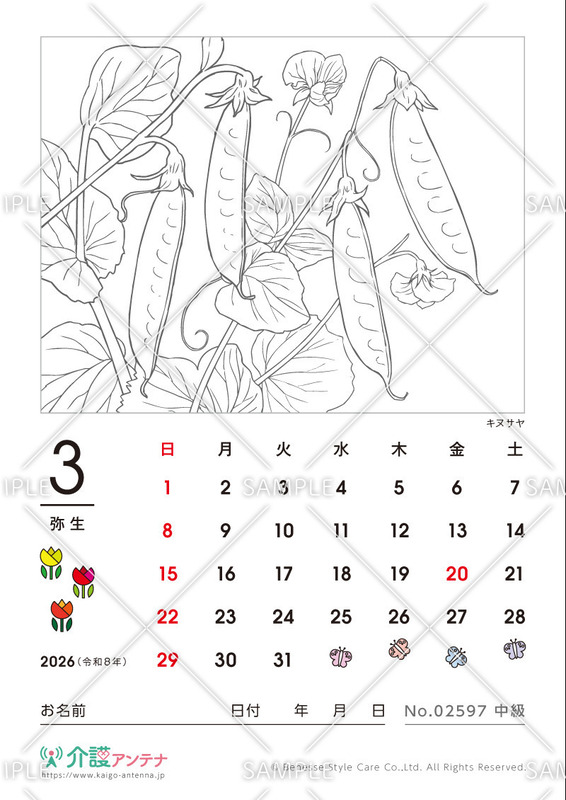 2026年3月の塗り絵カレンダー「キヌサヤ（植物）」