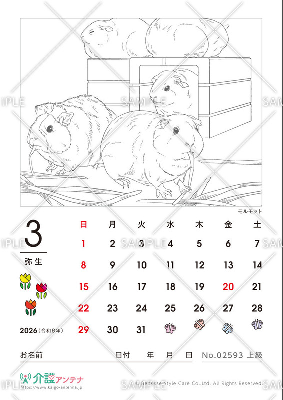 2026年3月の塗り絵カレンダー「モルモット（動物）」