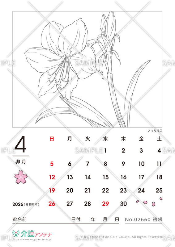 2026年4月の塗り絵カレンダー「アマリリス」