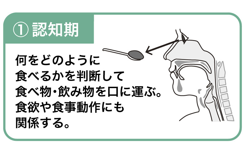 【介護技術】食事介助の際の観察ポイントと対応策