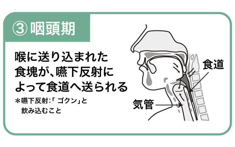 【介護技術】食事介助の際の観察ポイントと対応策