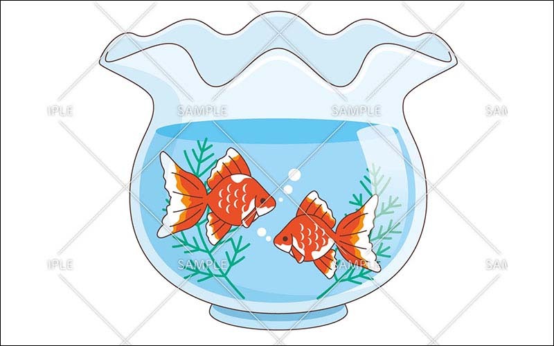 金魚鉢の中の金魚のイラスト