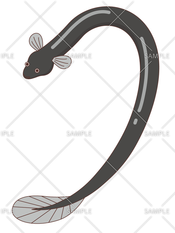 7月のおすすめ無料イラスト おしゃれでかわいい素材多数 介護アンテナ