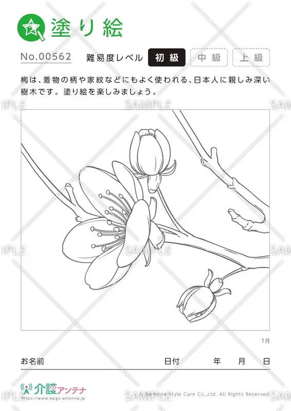 大人の塗り絵 が無料でダウンロード 印刷できる おすすめ30選 介護アンテナ