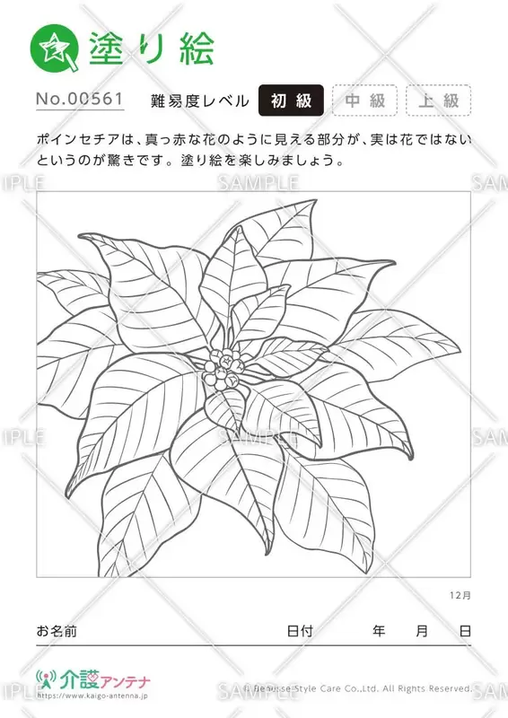 完全無料 印刷して使える 高齢者向け 花 の塗り絵 介護アンテナ