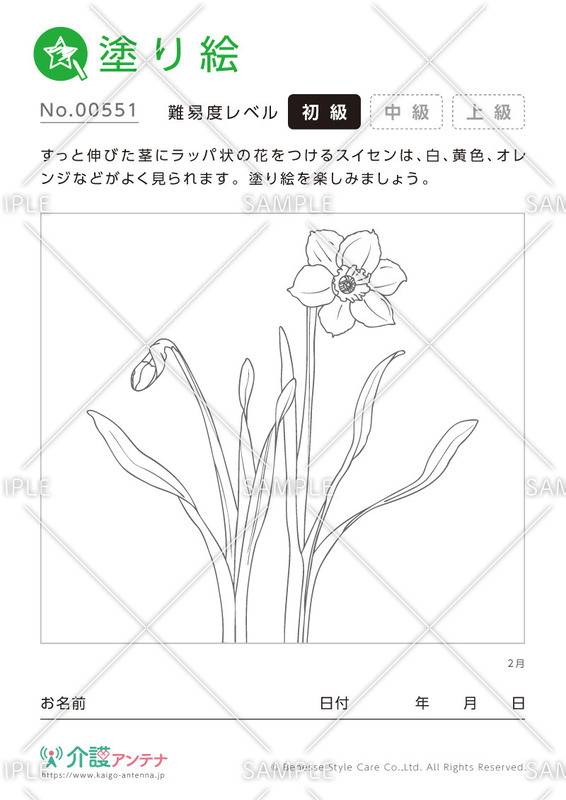 塗り絵「2月の花 スイセン」 - No.00551