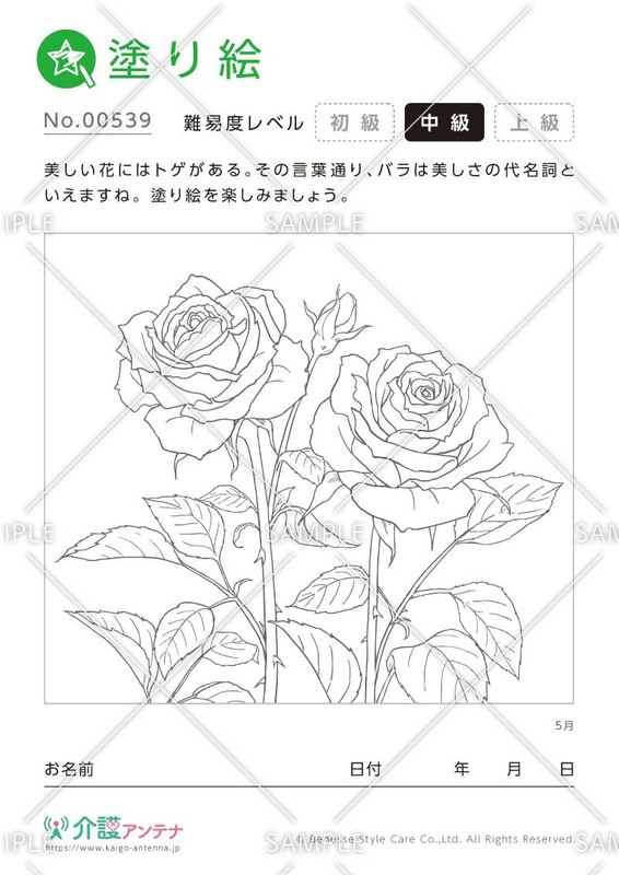 塗り絵「5月の花 バラ（薔薇）」 