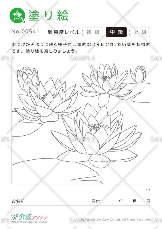 塗り絵「7月の花 スイレン（睡蓮）」 