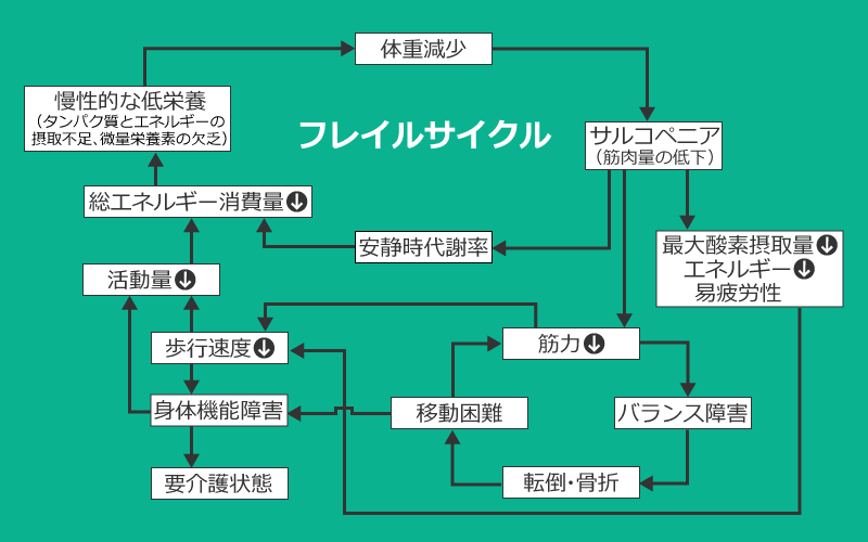 フレイルサイクル