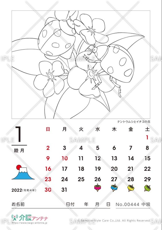 2022年1月の塗り絵カレンダー「テントウムシとイチゴの花」